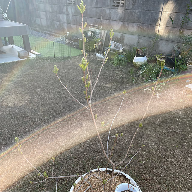 asさんの実例写真