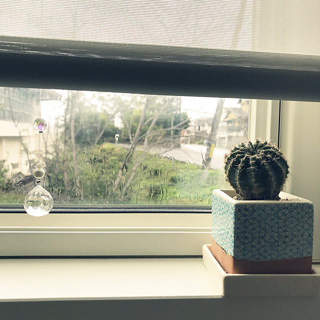 dmamaさんの実例写真