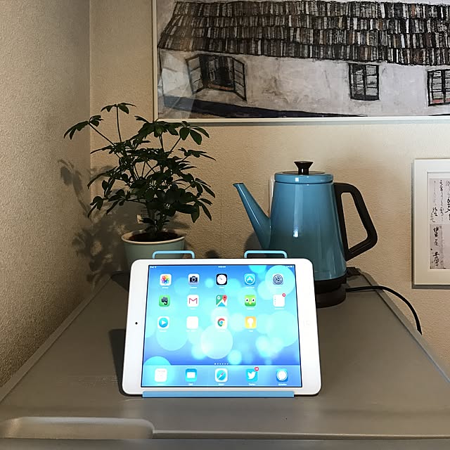キッチン/加工なし/観葉植物/セレクトショップ AQUAのインテリア実例 - 2016-11-03 09:59:41