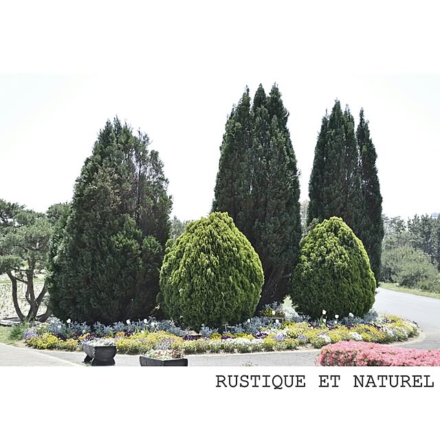 rustiqueさんの実例写真