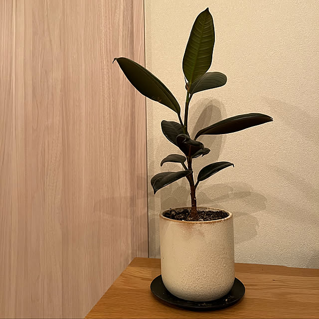 ktos0503さんの実例写真
