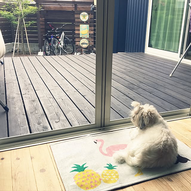 JASMINEさんの実例写真