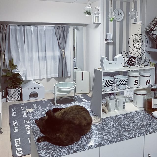 mikaさんの実例写真