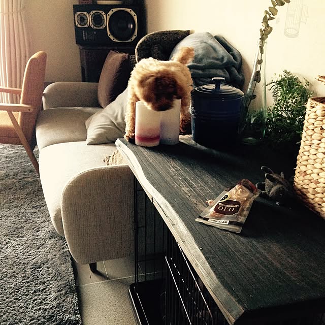 yuchiさんの実例写真