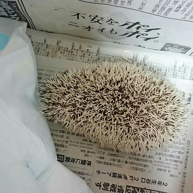 Reikomさんの実例写真