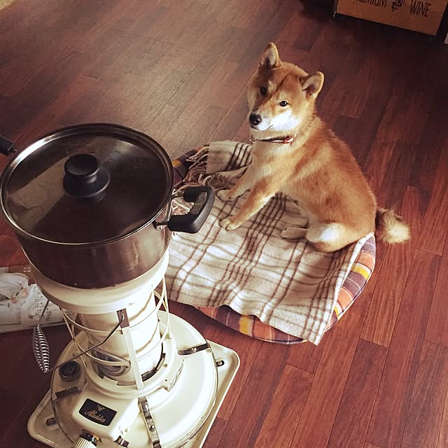 mitubachiさんの実例写真