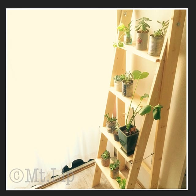 mt...lipさんの実例写真