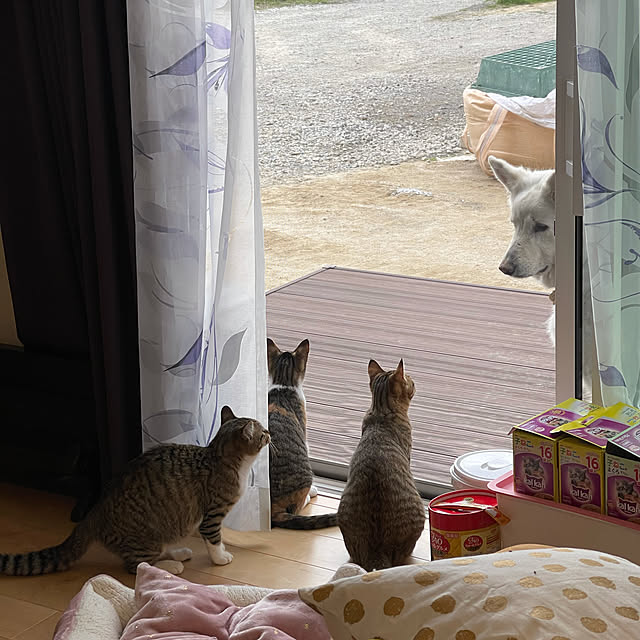 manekinekoさんの実例写真
