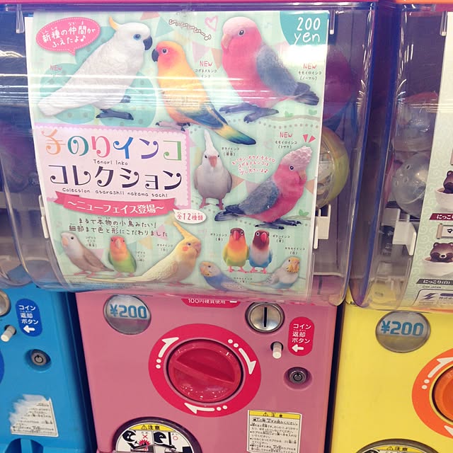 Y.Mさんの実例写真