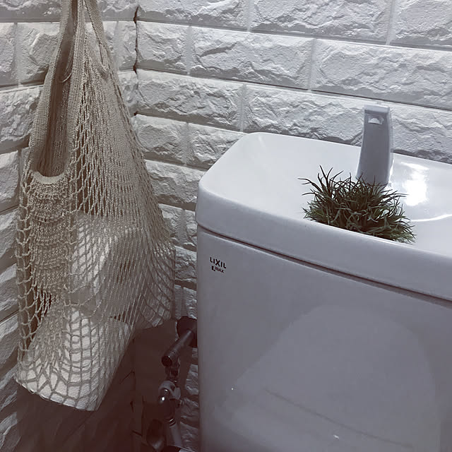 キャンドゥ/100均/バス/トイレのインテリア実例 - 2019-03-10 16:14:33