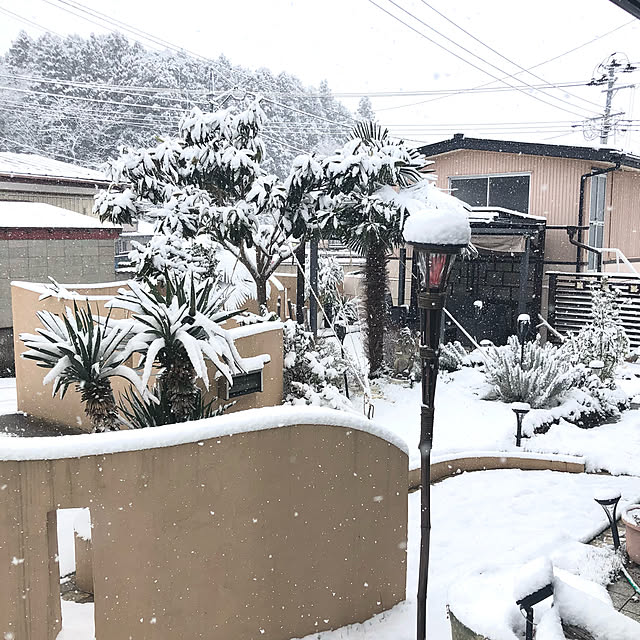 実例写真