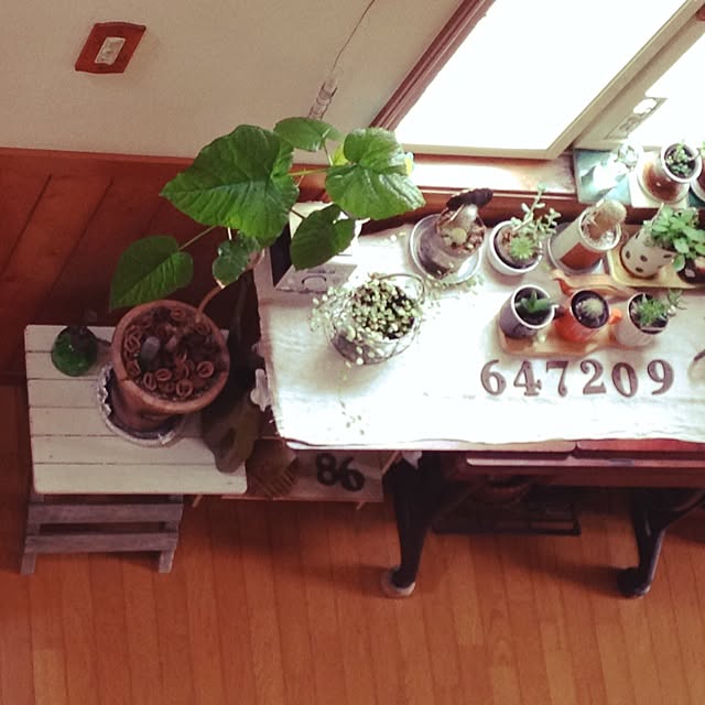 chiさんの実例写真