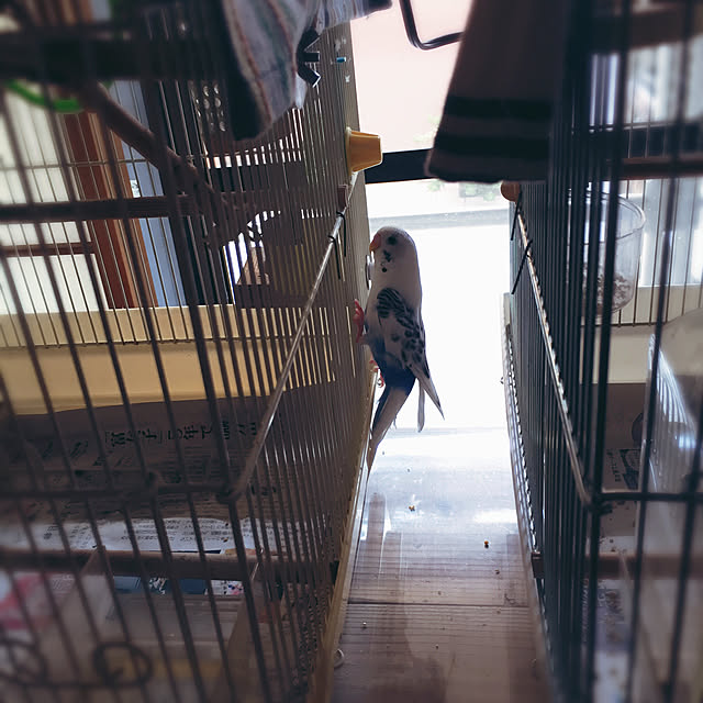 ryouyum126さんの実例写真