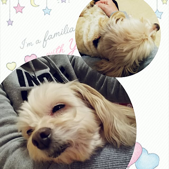 445Tさんの実例写真