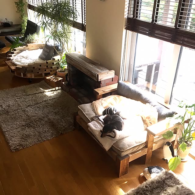 tomowithdogさんの実例写真