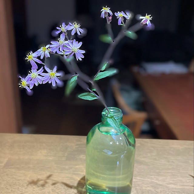 buchiさんの部屋