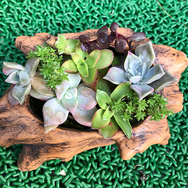 fuuさんの実例写真