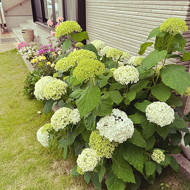 sinkanahouseさんの実例写真