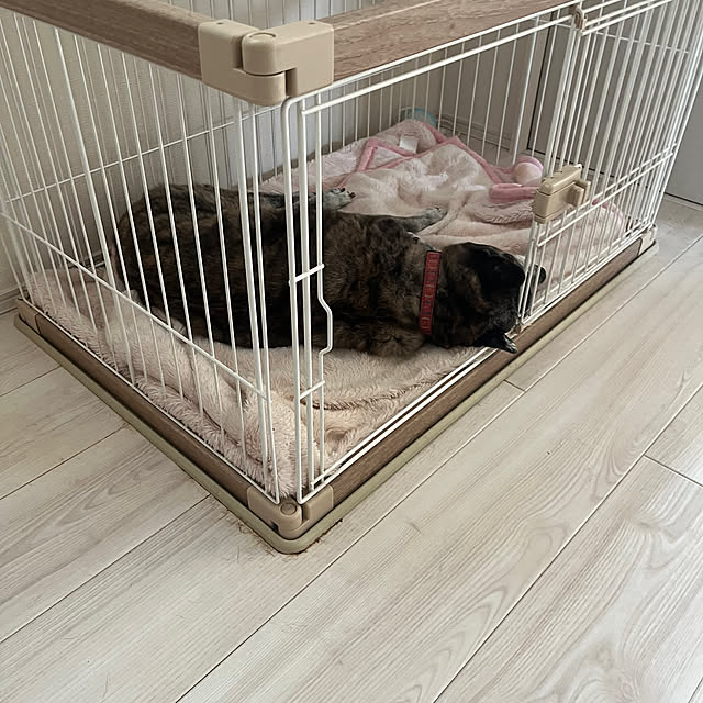 mari50さんの部屋