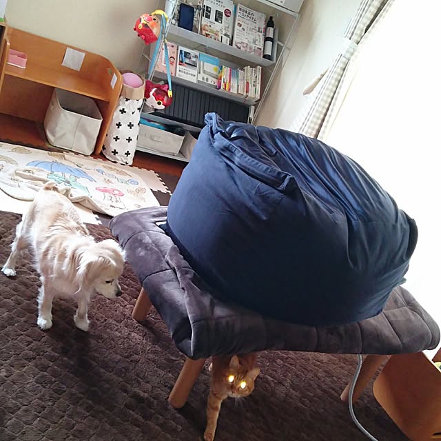 Maiさんの実例写真