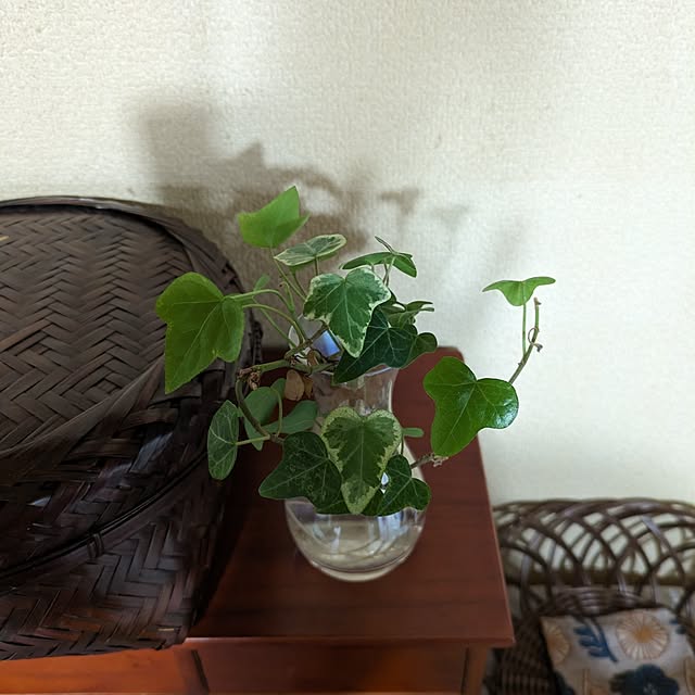 omaru4516さんの実例写真