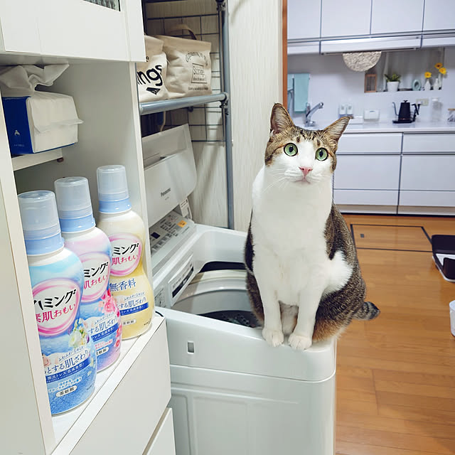 nachiさんの実例写真