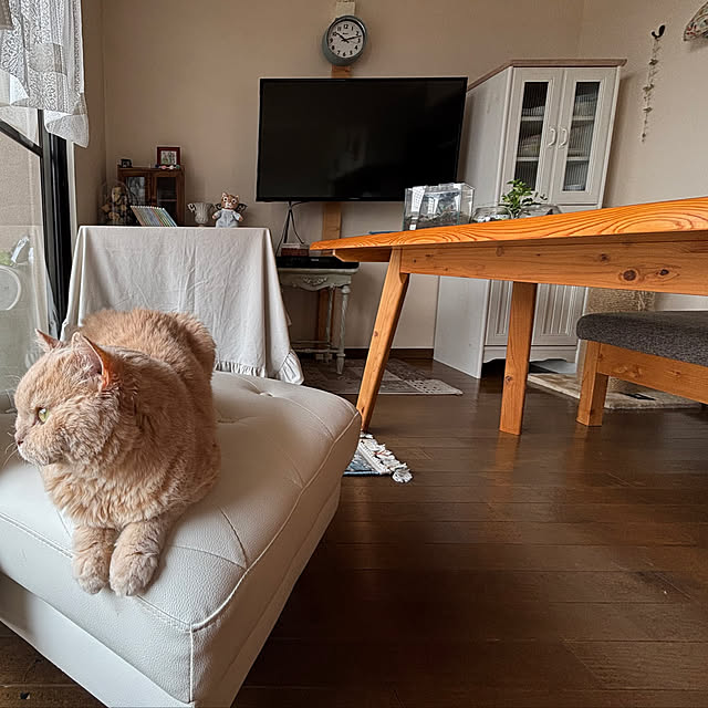 naokoさんの実例写真