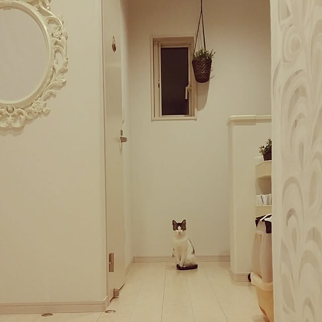 runayucoさんの実例写真