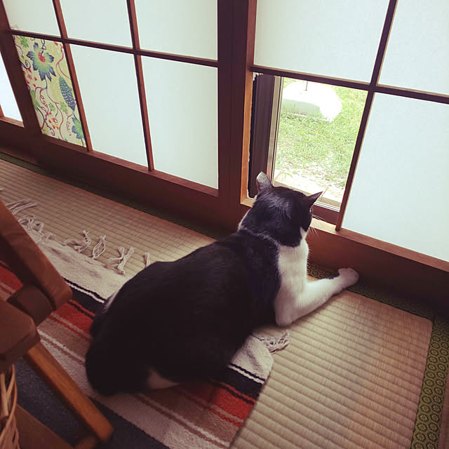 oseroさんの実例写真