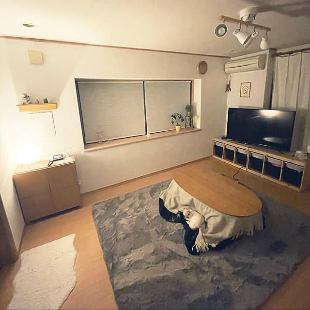 haritakaさんの実例写真