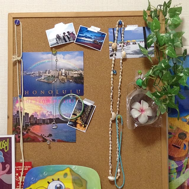 Annaさんの実例写真