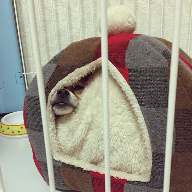 nattimomoさんの実例写真