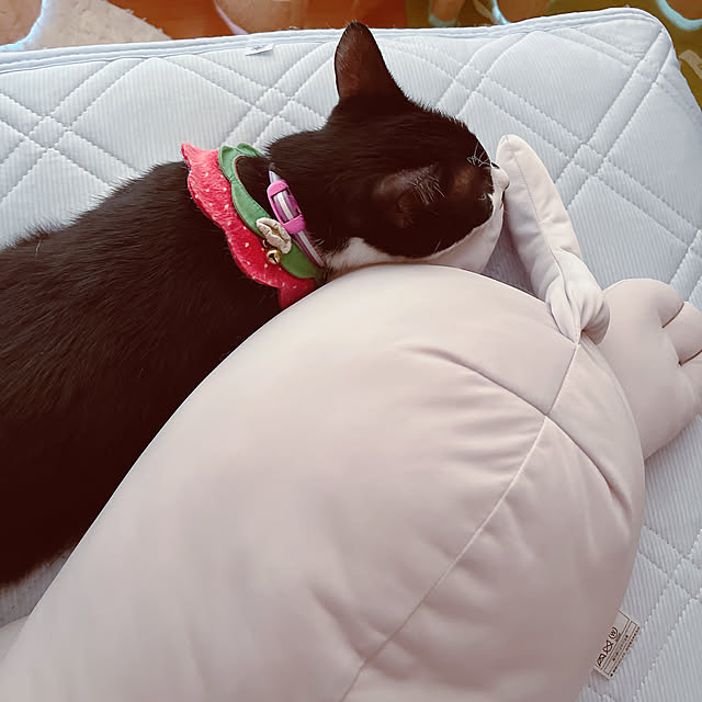moolさんの部屋
