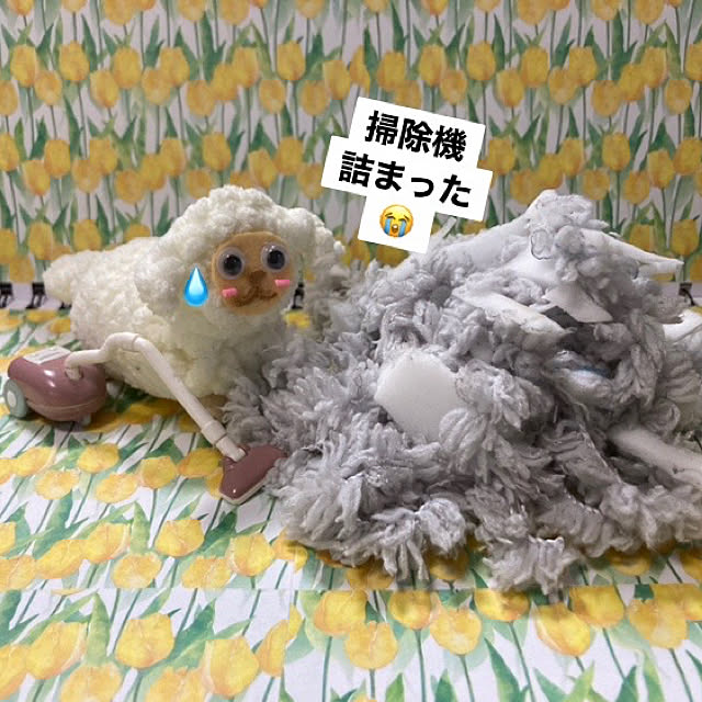 manduonmaさんの実例写真