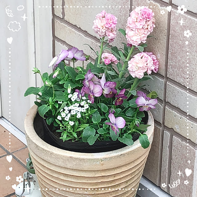 実例写真
