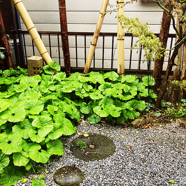 ebihara0720さんの実例写真