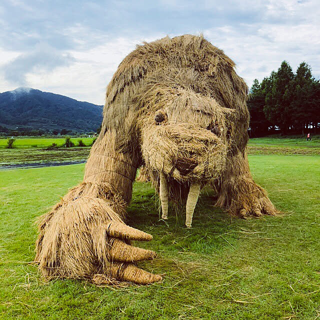 実例写真