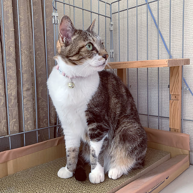 mariさんの実例写真