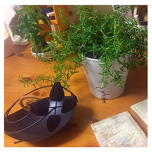 Tomoko.kさんの実例写真