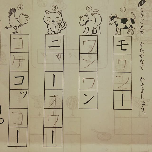 shushさんの実例写真