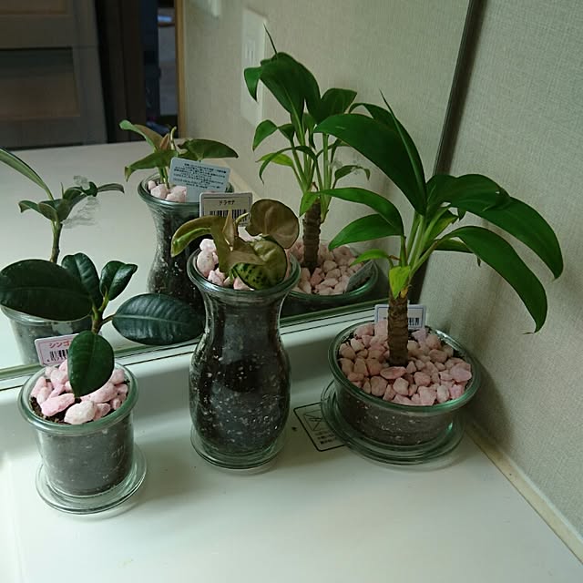 harudomさんの実例写真
