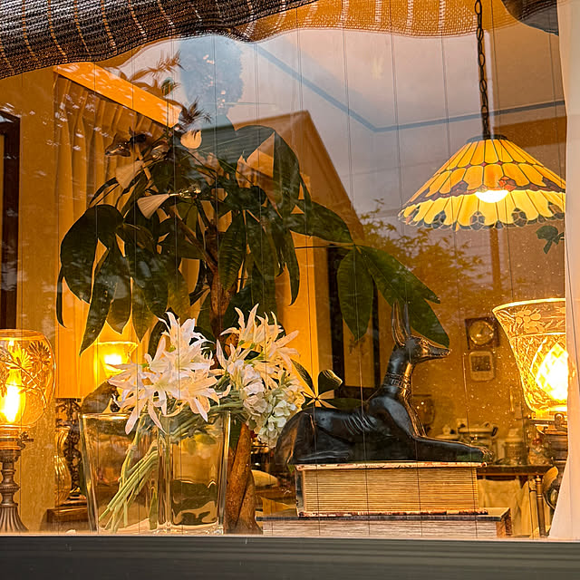 mamizaさんの実例写真