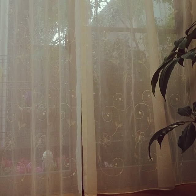 hoshikoさんの実例写真