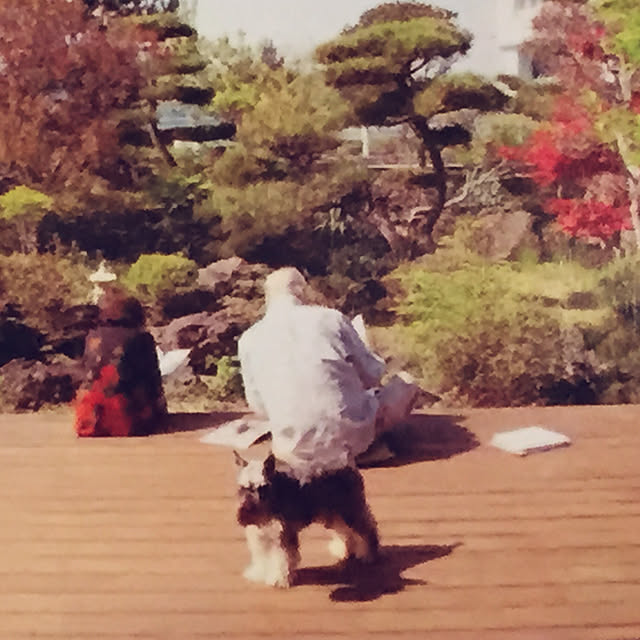 Nagakoさんの実例写真