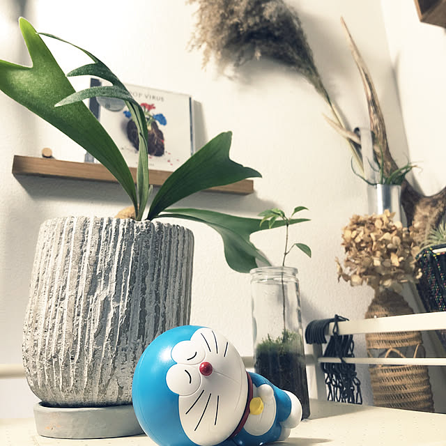 yuuさんの実例写真