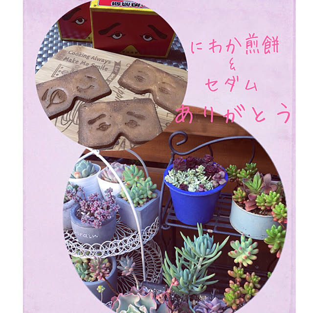 mintteaさんの実例写真
