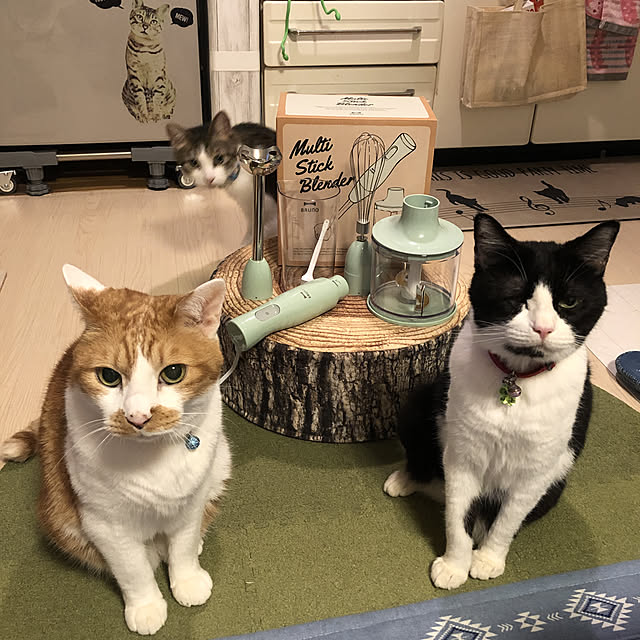 mikenekoさんの実例写真