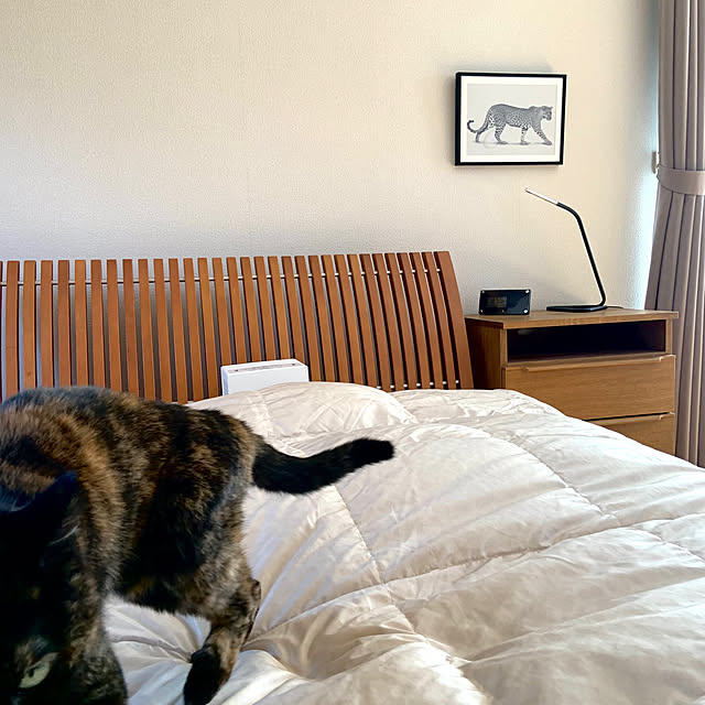 cocoさんの部屋