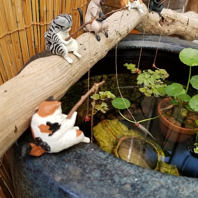 midoriさんの部屋