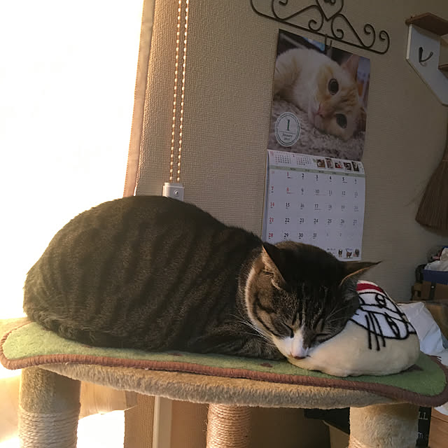 kimikimiさんの実例写真
